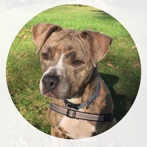 Meet your Posher, Bryce